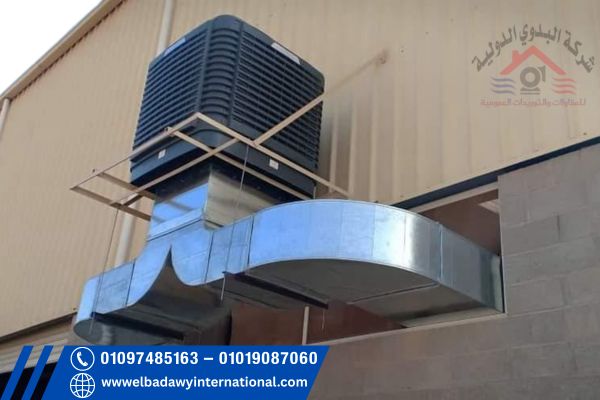 البدوي الدولية 4