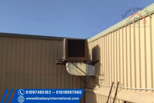 البدوي الدولية 6