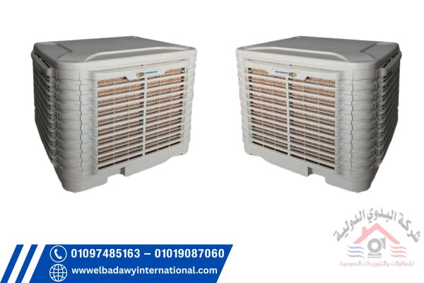 البدوي الدولية 7