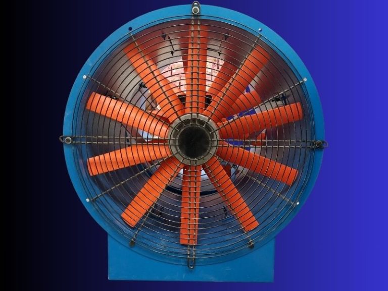 Untitled design 8 768x576