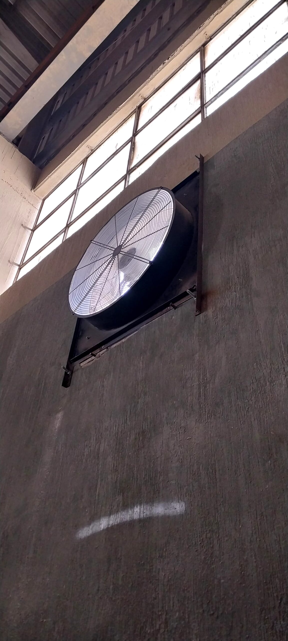 صورة المعرض 19